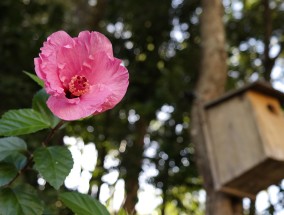 现成的花少7阵容，青春与冒险的完美结合 花少人物