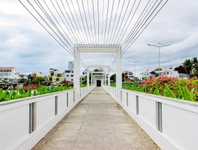 沙井花卉批发市场——花卉爱好者的天堂 沙井花卉批发市场电话