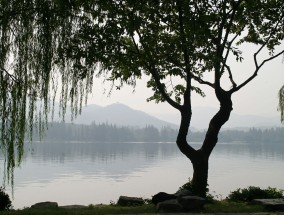 记承天寺夜游中苏轼如何得知张怀民未眠 记承天寺夜游中表现苏轼与张怀民友情的句子