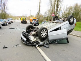 锦鲤之谜，警方提取死亡鱼体样本送检的背后 锦鲤大批量死亡