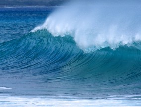 浙江宁波东钱湖冬捕第一网盛大开启 宁波东钱湖野钓地点推荐