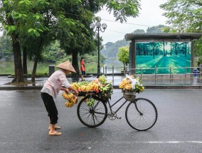 滕州至鱼台汽车之旅 滕州到鱼台汽车站