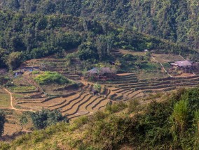 官方通报超百亩土地变身大坑事件 100亩田地