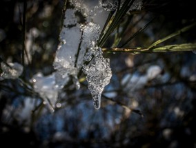 用棉花替代真雪景区关闭并致歉的反思 棉花和雪