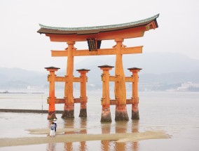 日方向靖国神社供奉祭品，中方坚决驳斥 日本祭祀靖国神社