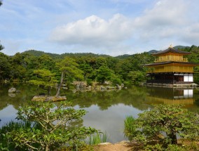 河池园艺鱼池招标信息公告 河池市园博园效果图