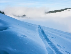 解锁这个冬天冰雪趣味新玩法 这个冬季