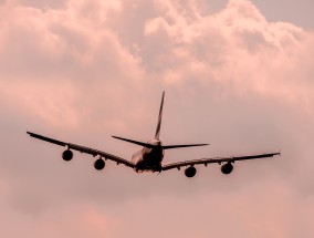 乘客的空中惊魂，鸟卡在机翼里 一只鸟卡死在空中