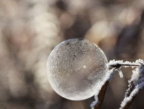 冬至到哈尔滨，共赴一场雪饺子盛宴 哈尔滨雪大不大