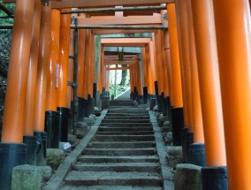 日本首相供奉祭品于靖国神社，历史与现实的交织 日本首相向靖国神社供奉祭品 外交部回应