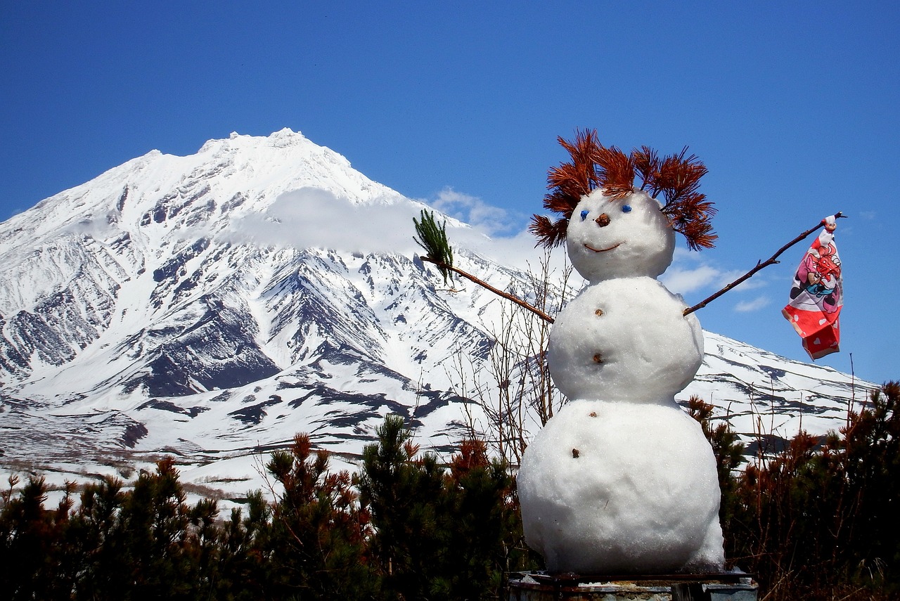 哈尔滨太阳岛雪人仪仗队惊艳亮相 哈尔滨太阳岛雪博会介绍