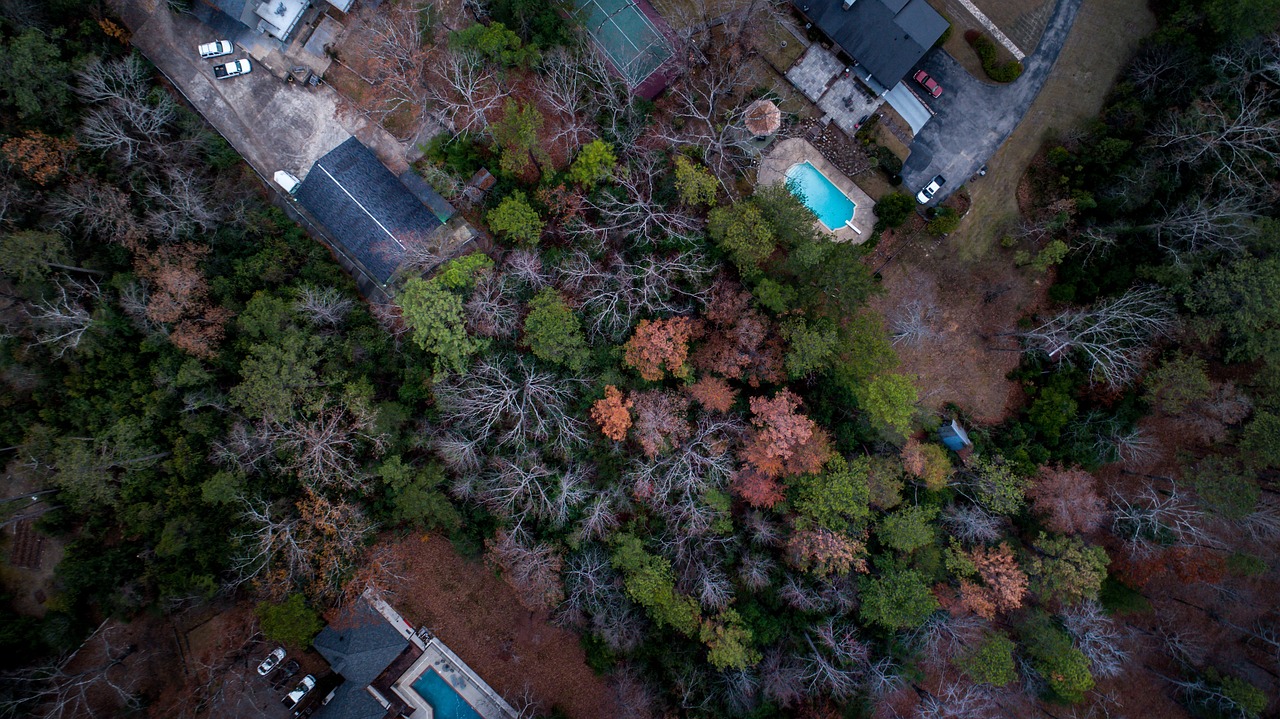 台风肆虐，大树倒塌致车辆司机不幸身亡 台风吹倒大树砸到别人的房子要赔偿吗