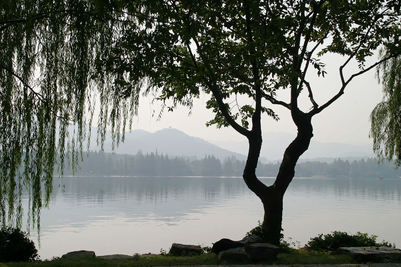 记承天寺夜游中苏轼如何得知张怀民未眠 记承天寺夜游中表现苏轼与张怀民友情的句子