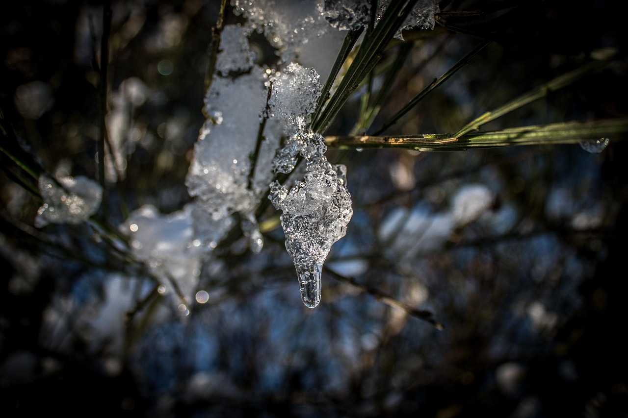 用棉花替代真雪景区关闭并致歉的反思 棉花和雪